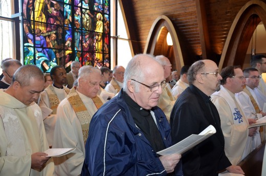 Ordination of Fr Ronald Sibugan_14