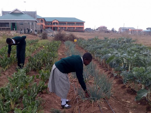 Assumption High School in Kenya_28