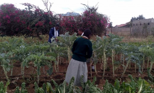 Assumption High School in Kenya_30