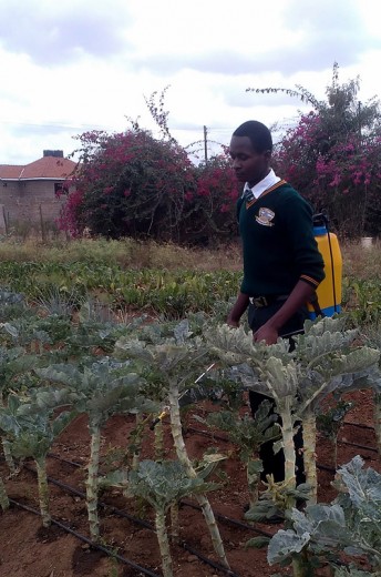 Assumption High School in Kenya_31