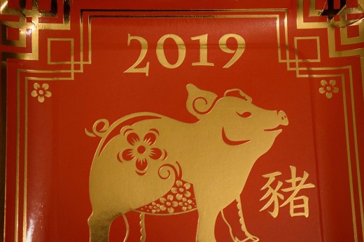 THE ASSUMPTIONIST CENTER CELEBRATES THE LUNAR NEW YEAR 2019_73